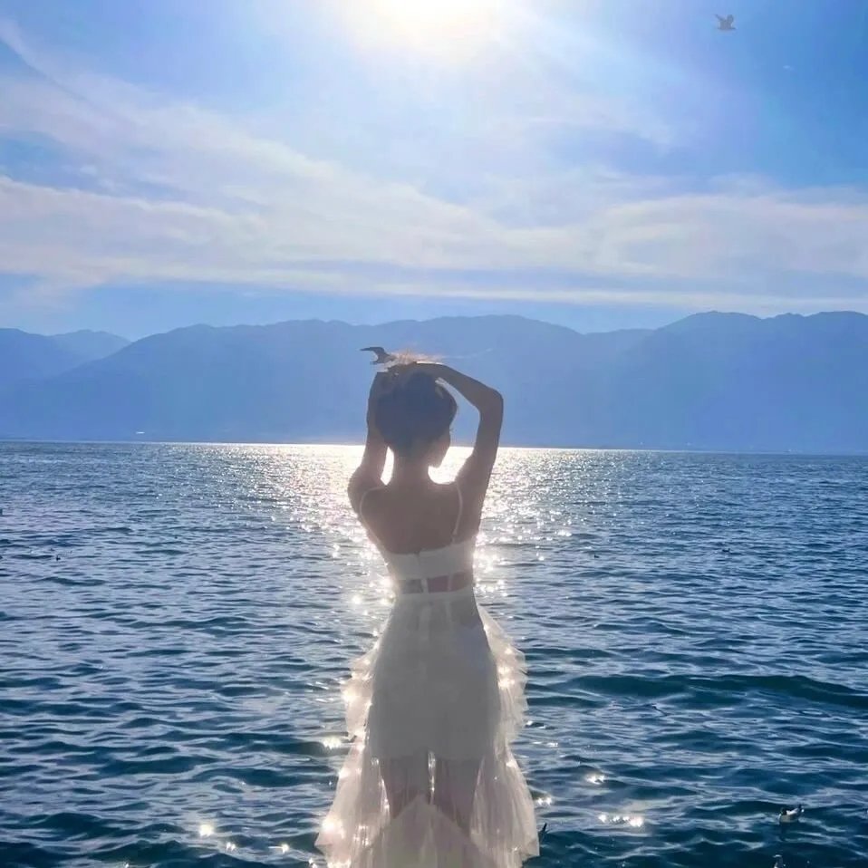 313套房海报