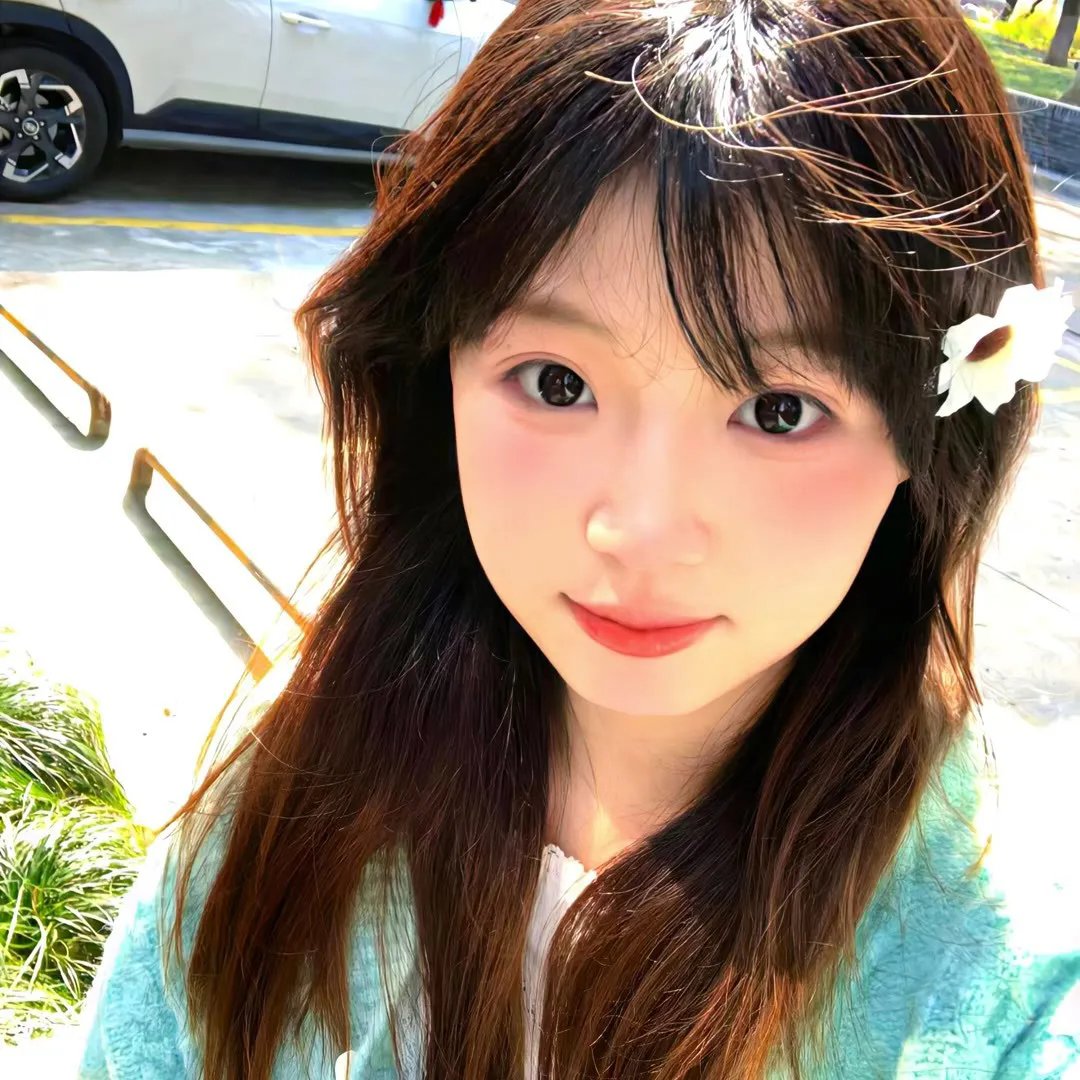地震鸟海报