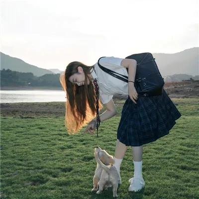 情因孽果海报